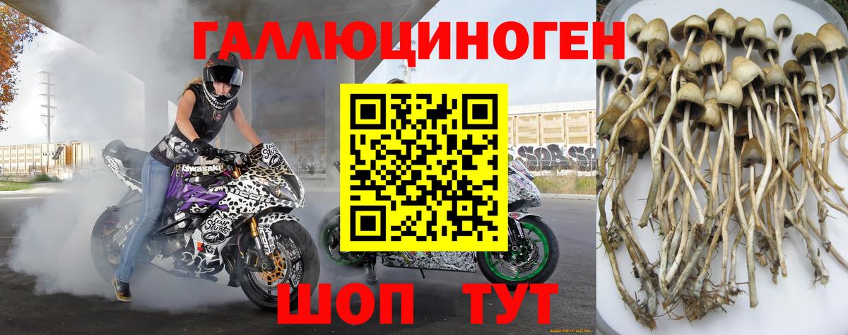 Галлюциногенные грибы GOLDEN TEACHER  Псилоцибиновые грибы прущие грибы  Троицк  Вход с VPN 