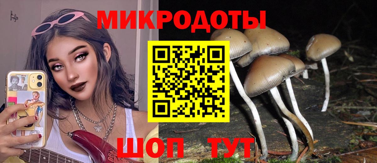 Галлюциногенные грибы мухоморы Троицк
